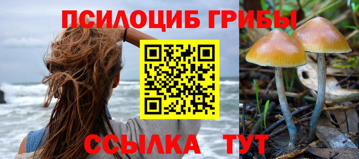 Элиста  Псилоцибиновые грибы Cubensis  Псилоцибиновые грибы мицелий  Вход с VPN 